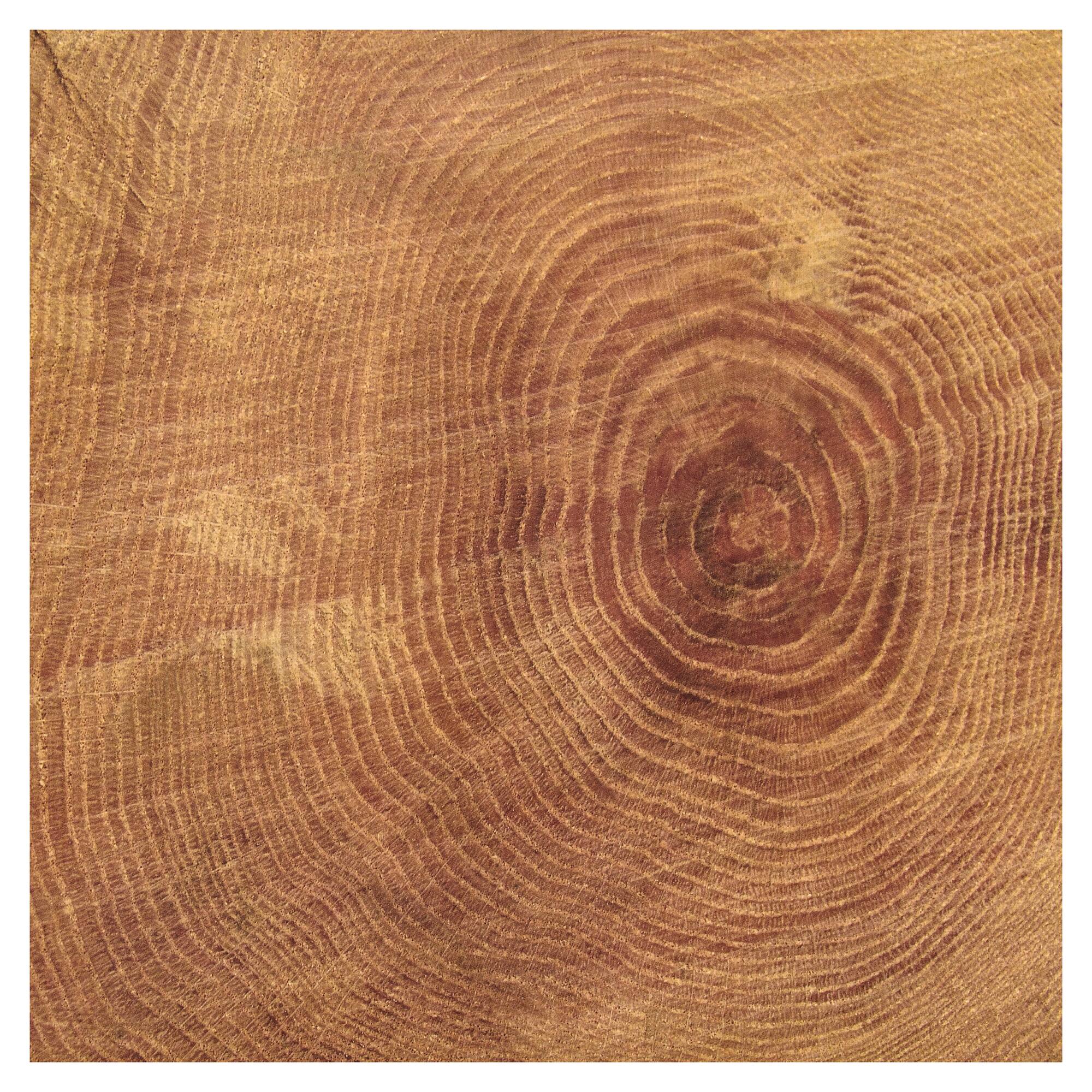 48 Pack: Outdoors Double-Sided Cardstock Paper by Recollections™, 12" x 12"